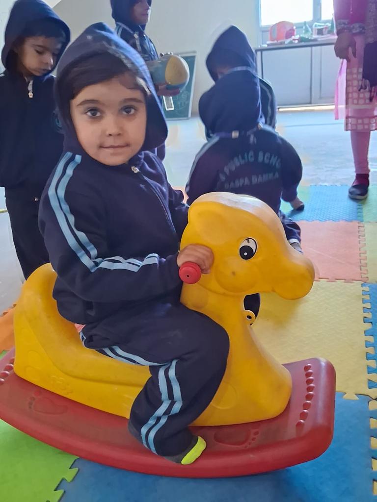 rao-puran-sing-school