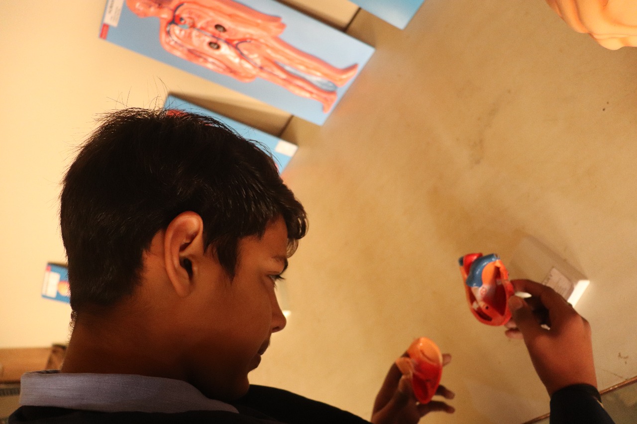 rao-puran-sing-school